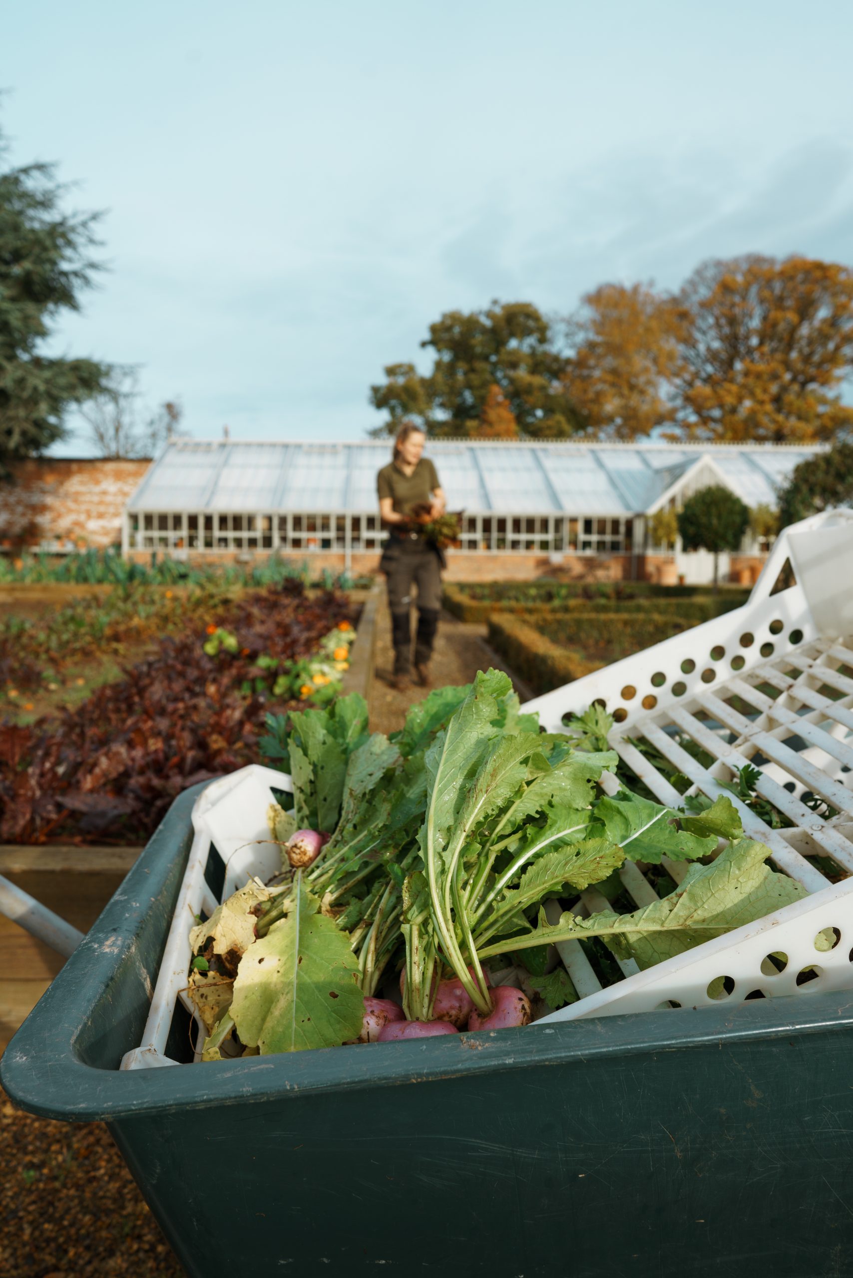 Discover the latest stories from our estate and explore our thoughts from garden recipes and real wedding stories to seasonal events and interviews with the team behind Wynyard Hall. 